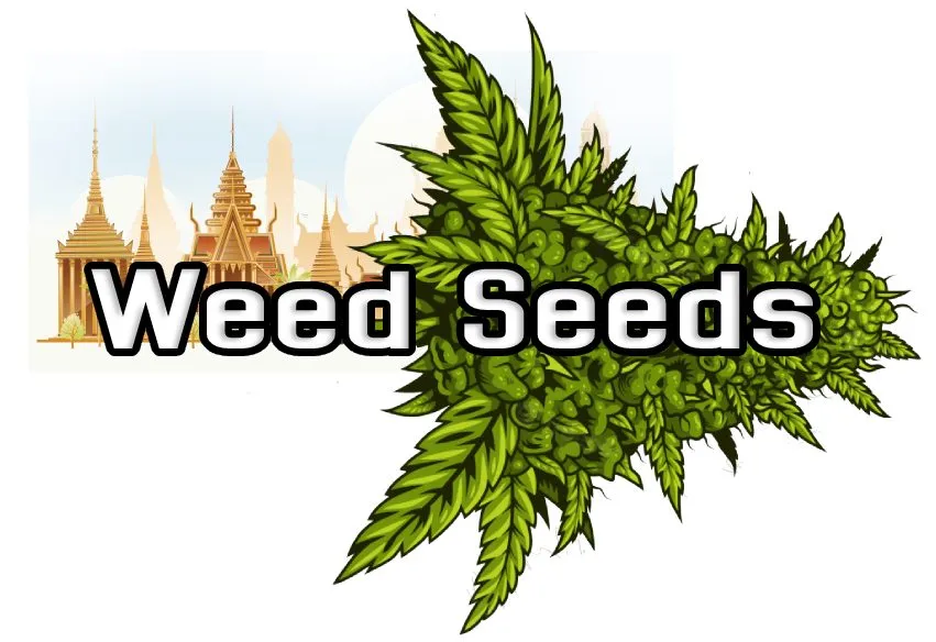 weedseedsonline